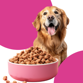 Банер кучешка храна