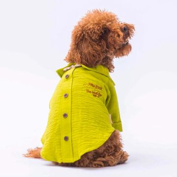 Риза за куче зелена M