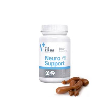 Neuro Support