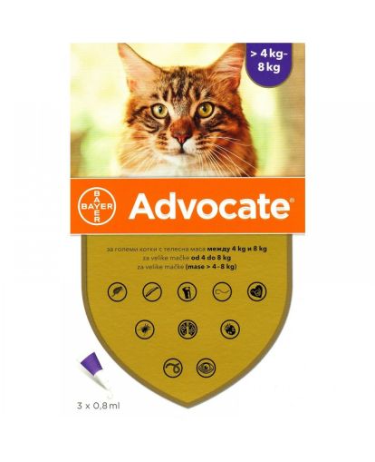 Адвокейт за котки и порчета до 8кг