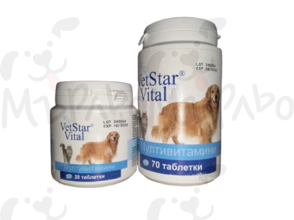 Мултивит вет-стар Vital 70табл