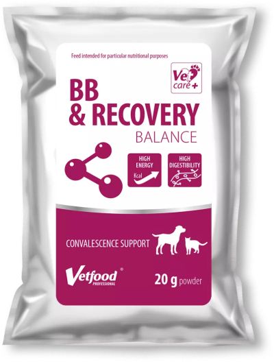 BB recovery balance 20g