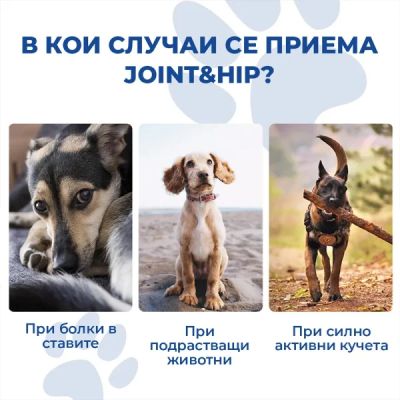 Joint & Hip  За още хиляди разходки заедно