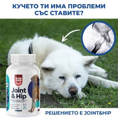 Joint & Hip  За още хиляди разходки заедно