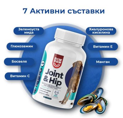 Joint & Hip  За още хиляди разходки заедно