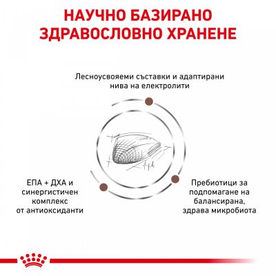 VHN FELINE GASTRO 400 G