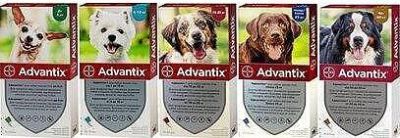 Адвантикс спот-он куче до 25кг