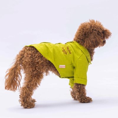 Риза за куче зелена L