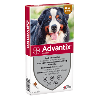 Адвантикс спот-он куче до 60 кг 4 пипети