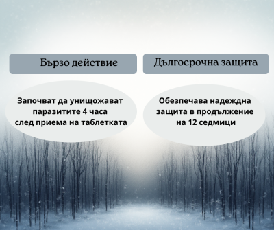 Таблетка за дъвчене Бравекто куче до 10кг